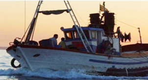 Portal del Sector Marítimo Pesquero