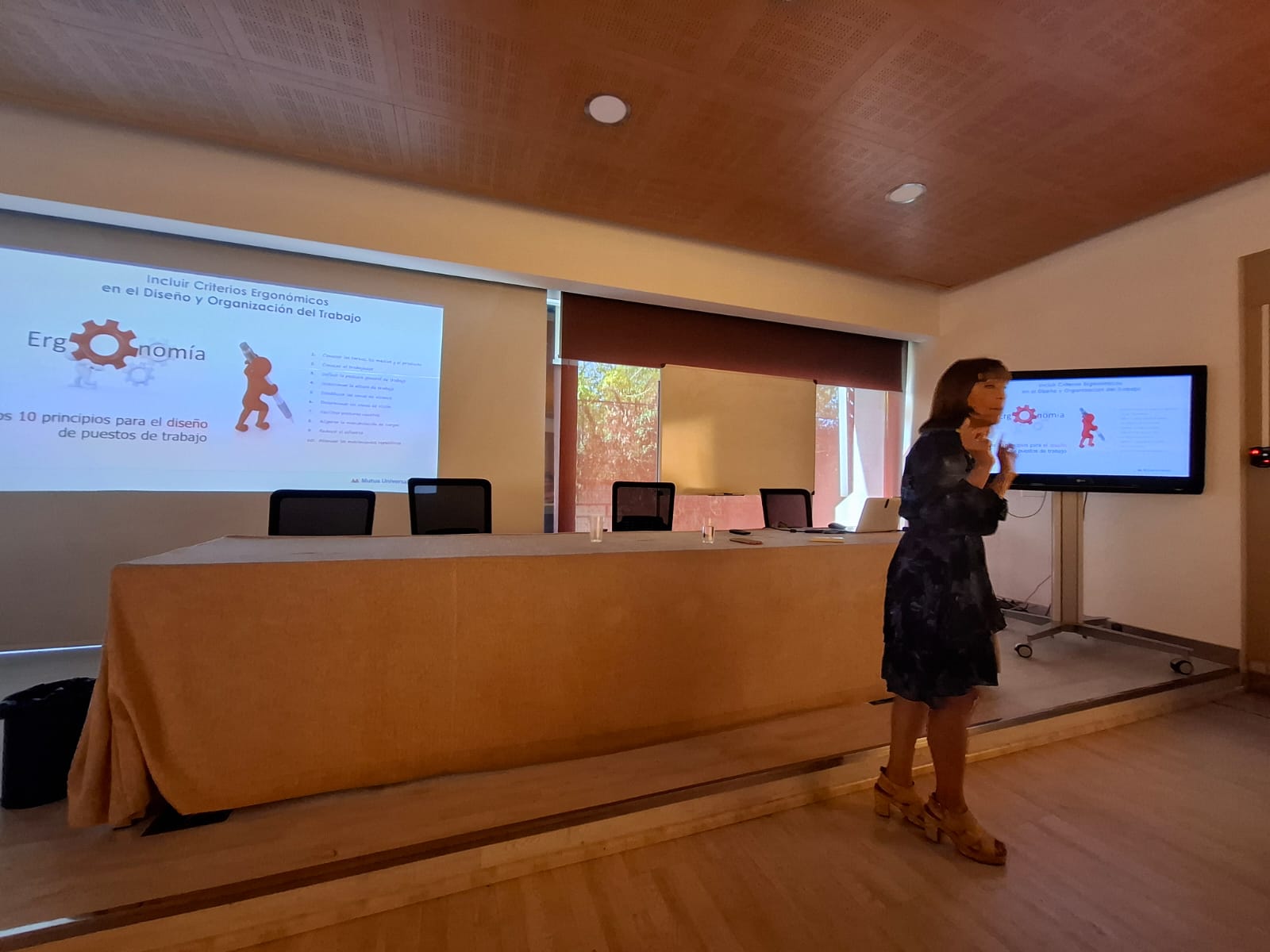 Jornada Ergonomía