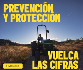 Campaña INSST